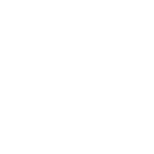 Vision