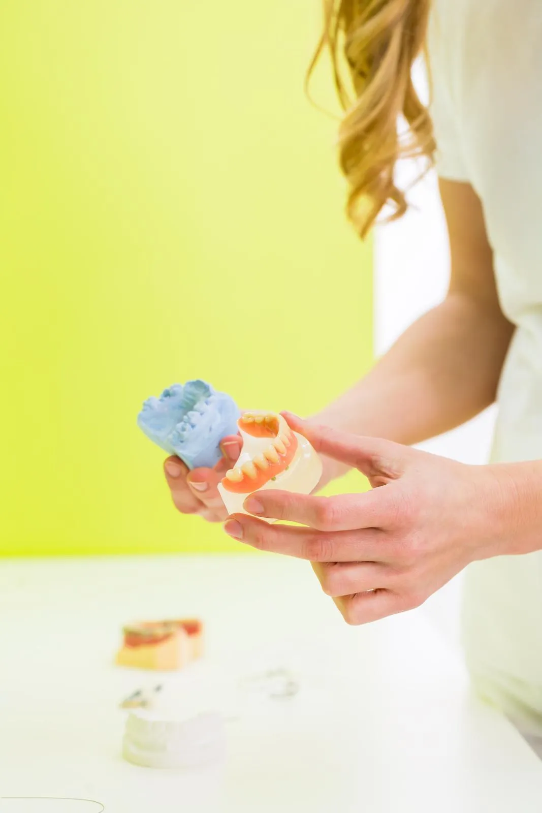 a person holding a model of teeth