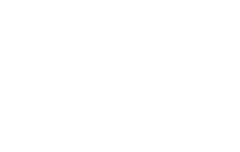 BAMF Logo