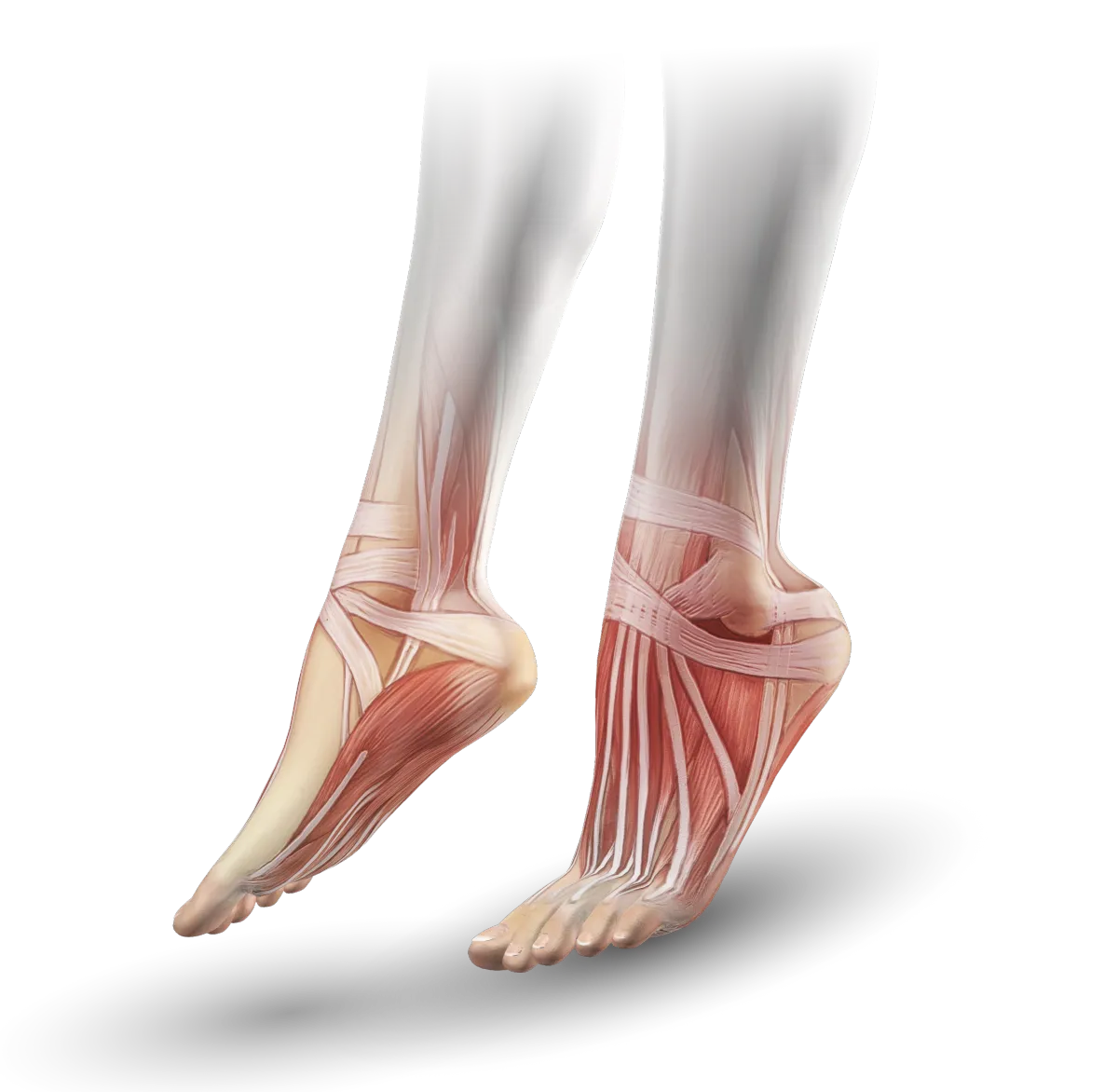 podiatric care foot and ankle