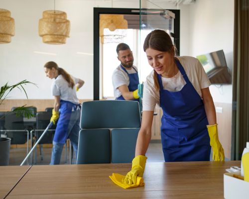 Carpet Cleaning