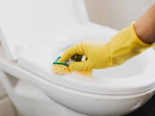 Floor Care New York City