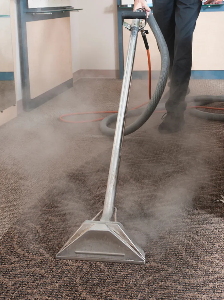 commercial carpet cleaning companies dorset wiltshire somerset