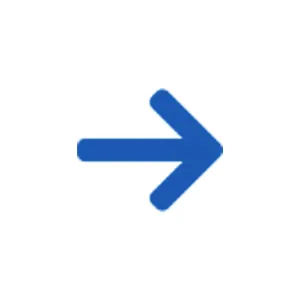 Down arrow icon (step connector)