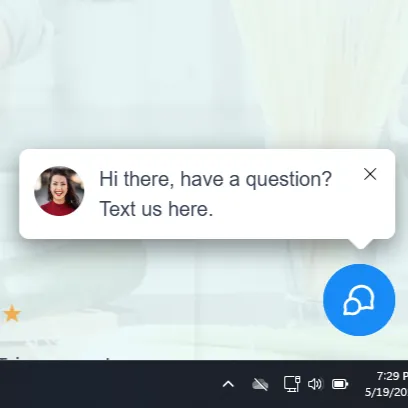 webste chatbot