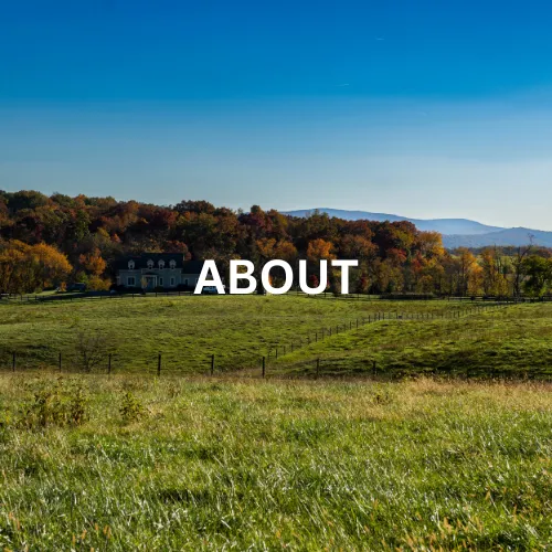 Scenic view of Briarmead Farm in Front Royal, Virginia, featuring lush fall foliage, a farmhouse, fenced pastures, and rolling hills, home to organic, grass-fed cattle. The word "About" is superimposed on top, it's a link leading to an About Us page.