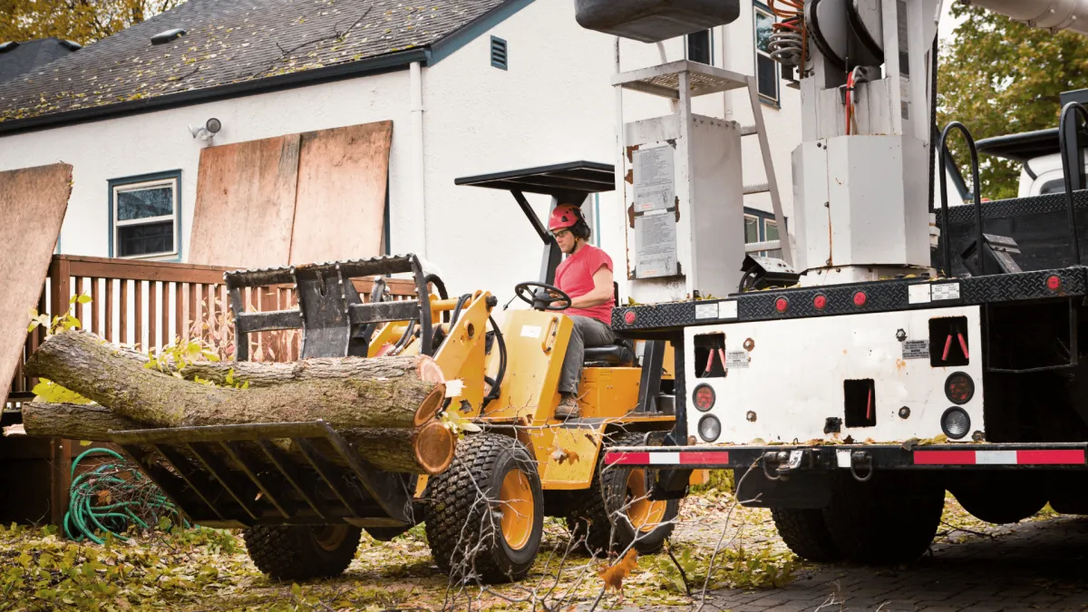 Tree Removal