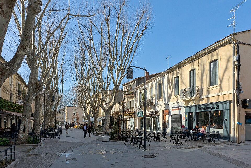 Le Cabanon - Restaurant - Lunel