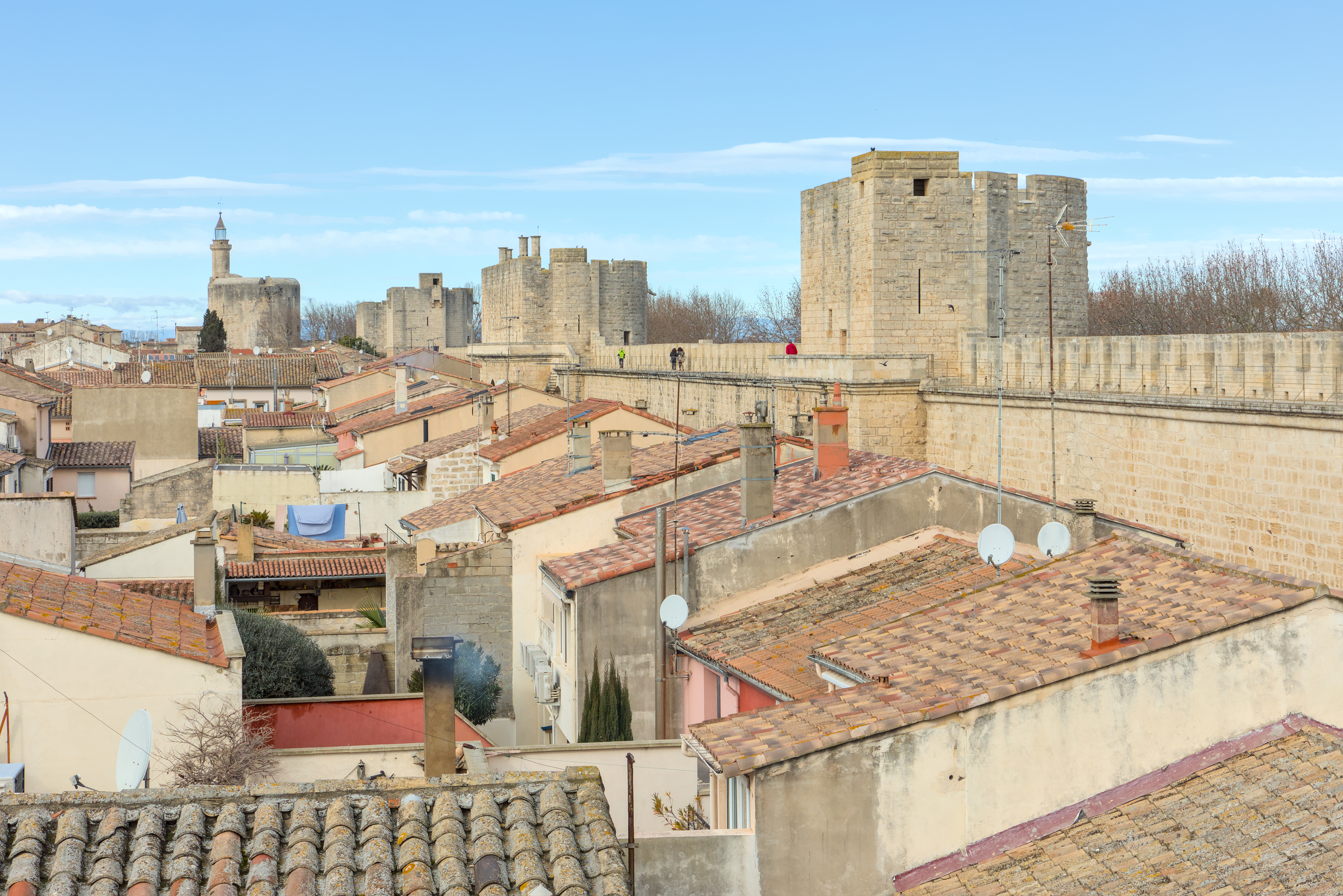 Le Cabanon - Restaurant - Aigues Mortes