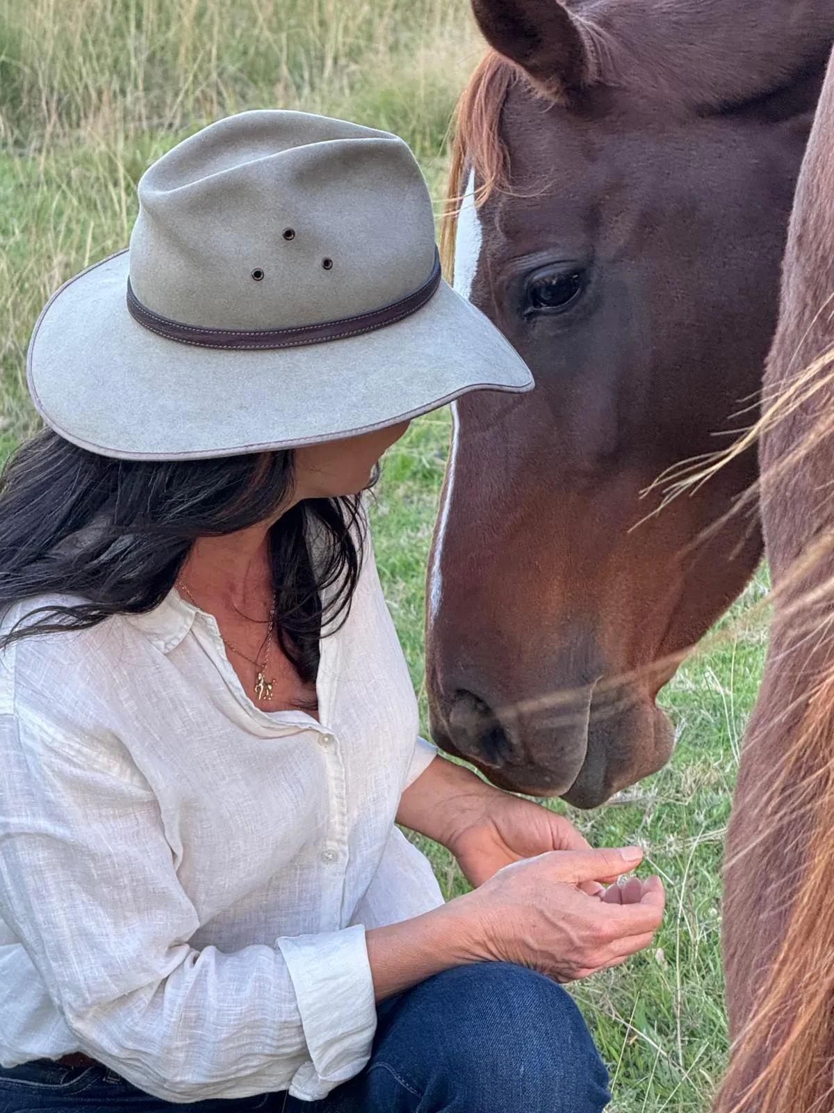 A quiet, tender moment of connection between a human and a horse