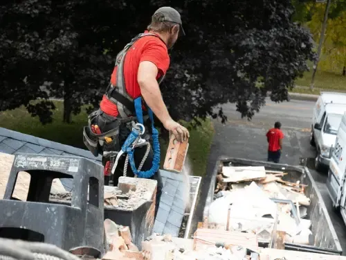 example of person cutting tree with safey gear