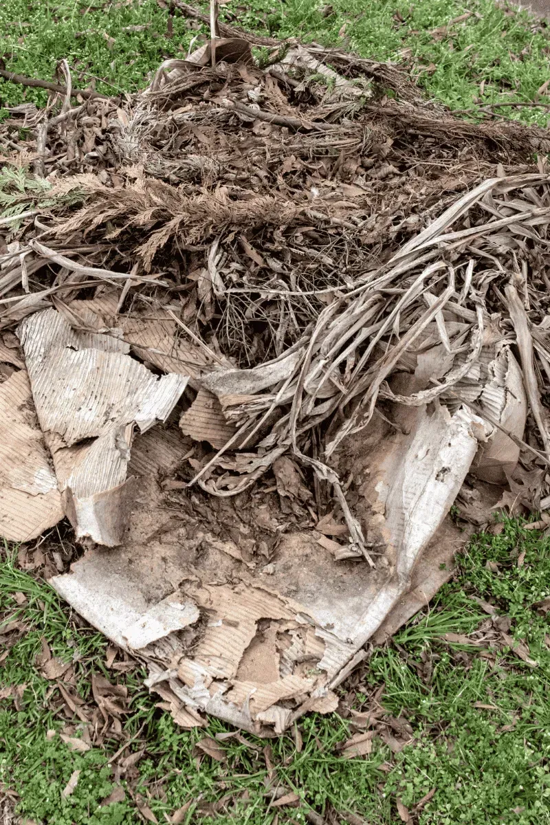 Clearing fallen branches and yard waste after a storm in Kennesaw Georgia.