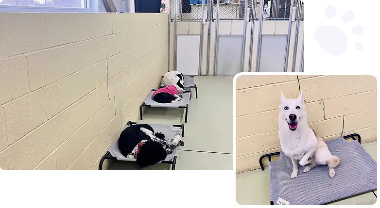 Facility and Equipment