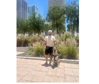 brown short coated dog wearing blue denim jeans and black and white converse all star high