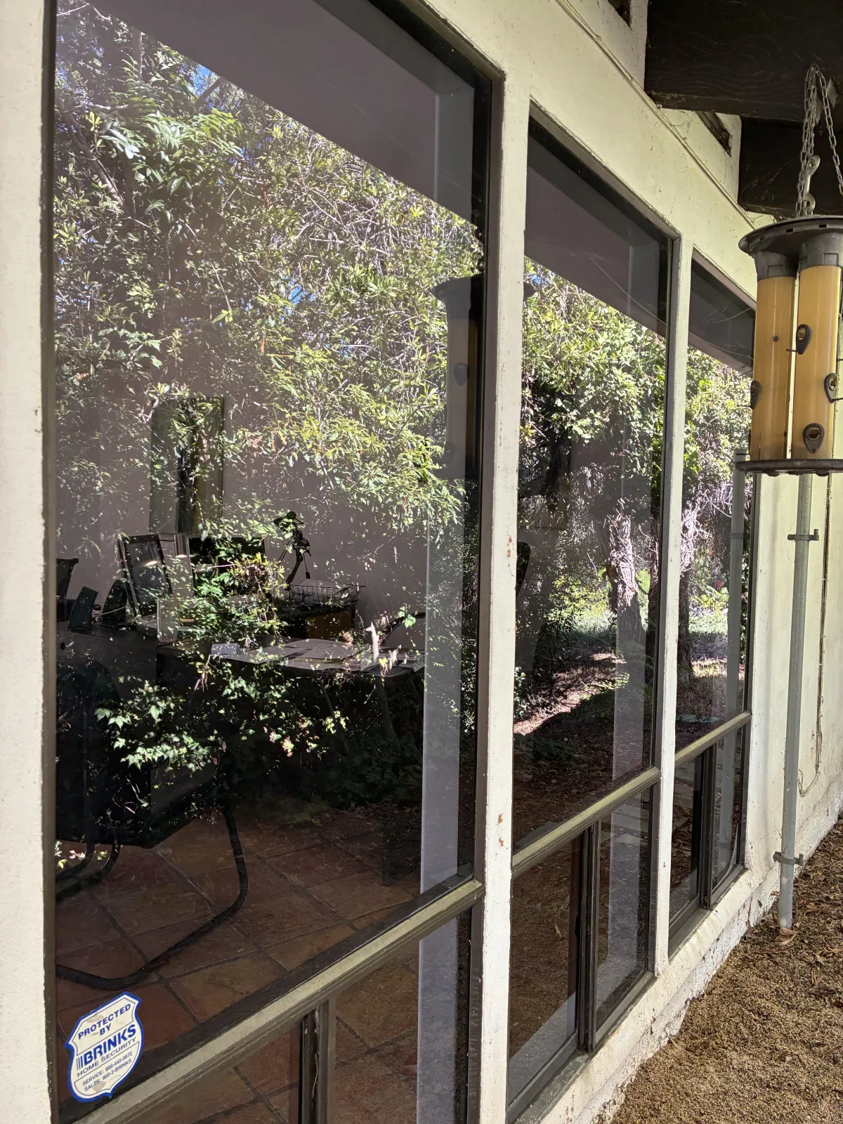 Professional Window Cleaning