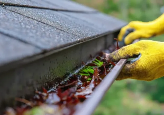 Gutter Cleaning & Debris Removal