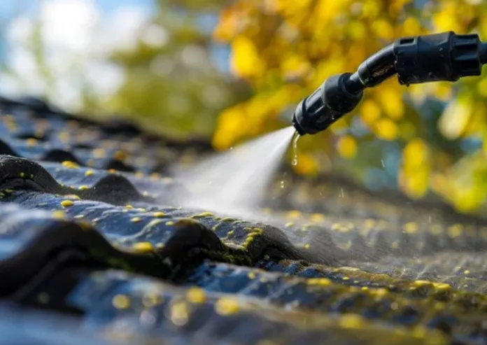 Roof Washing & Soft Wash Treatment