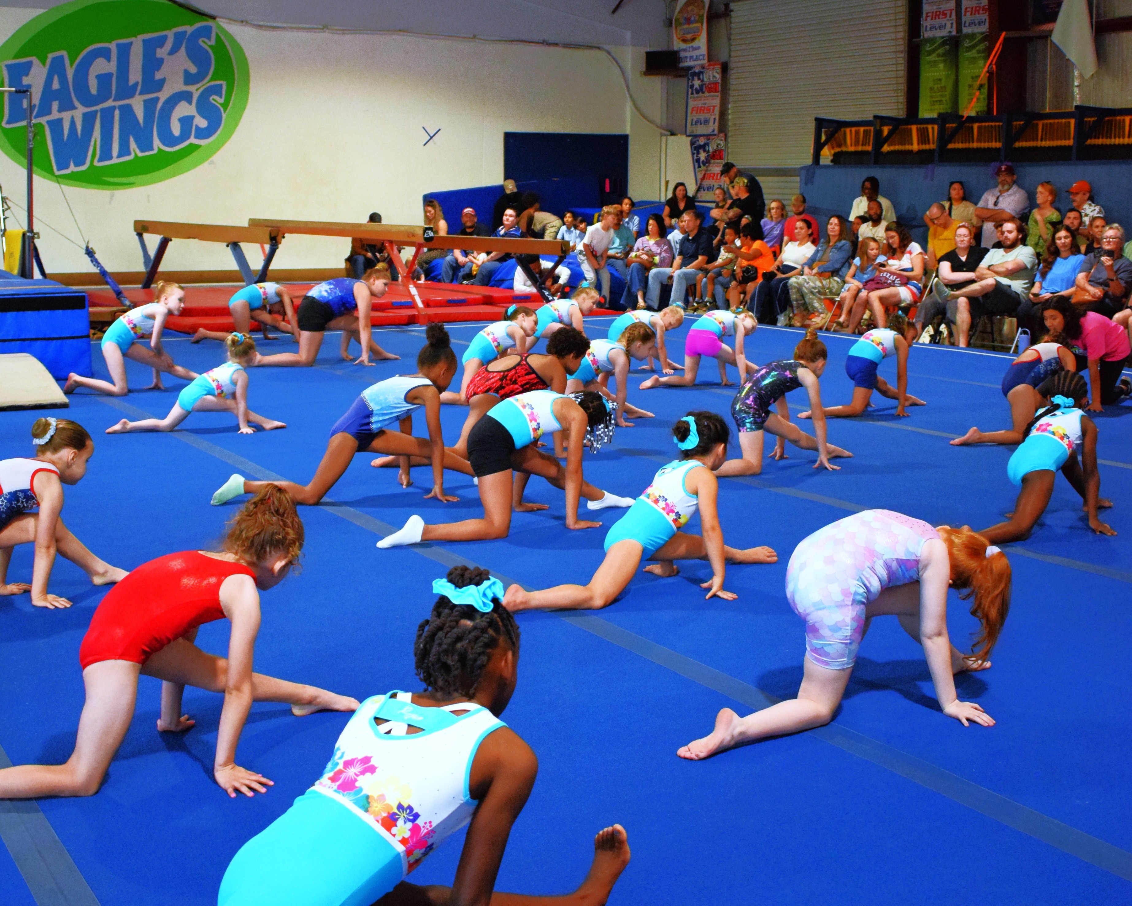 a group of women doing yoga