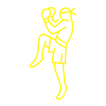 Icon of Person Fighting