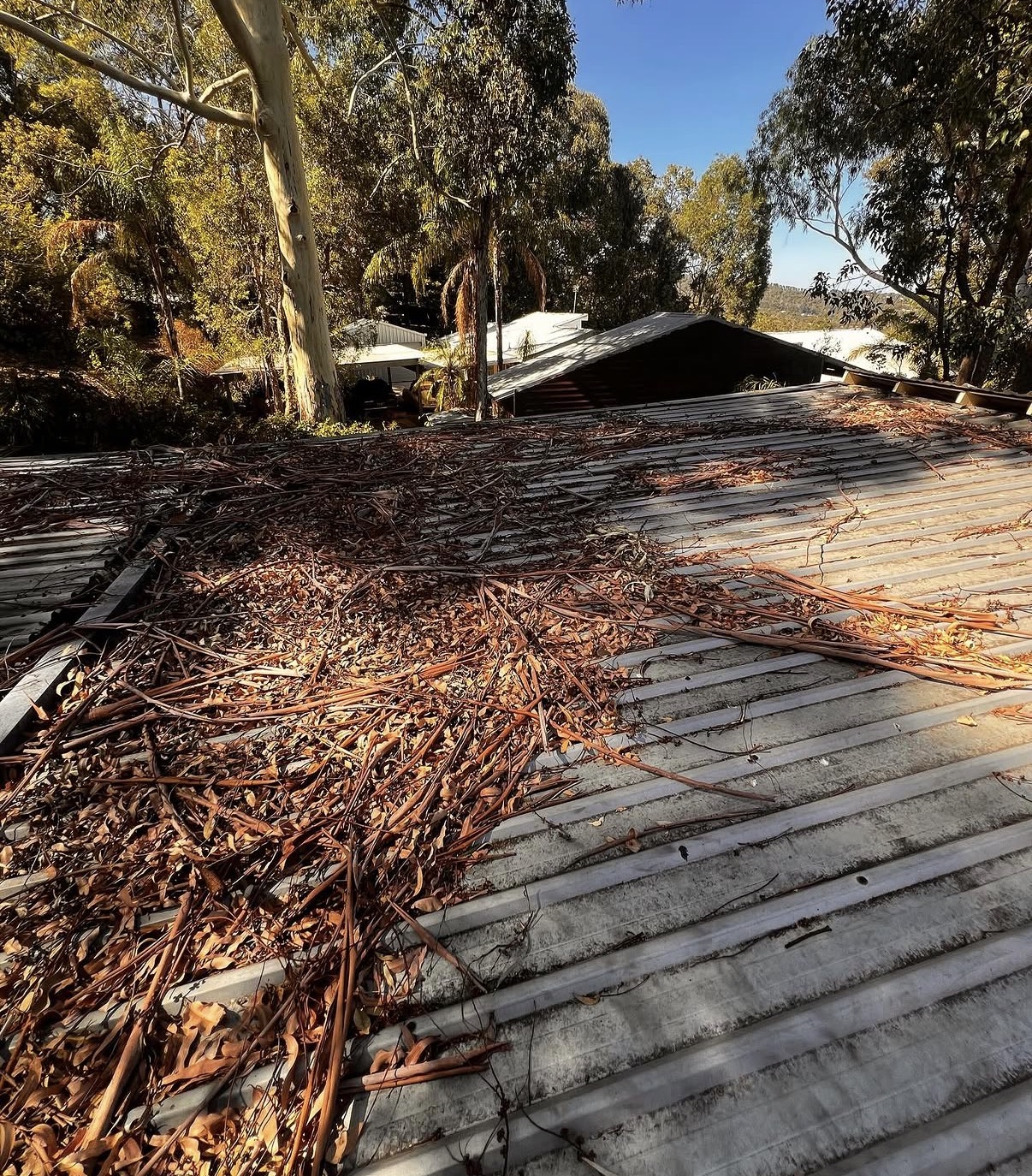 Property Maintenance Ellenbrook