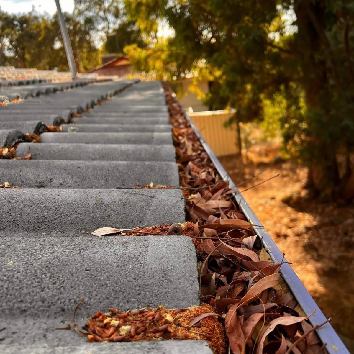 gutter cleaning services perth