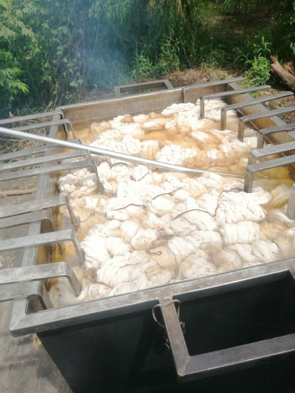 Traditional Ayurvastra dyeing scene with elder weaver applying herb-infused dye to textiles.