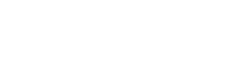 Service Business blueprint