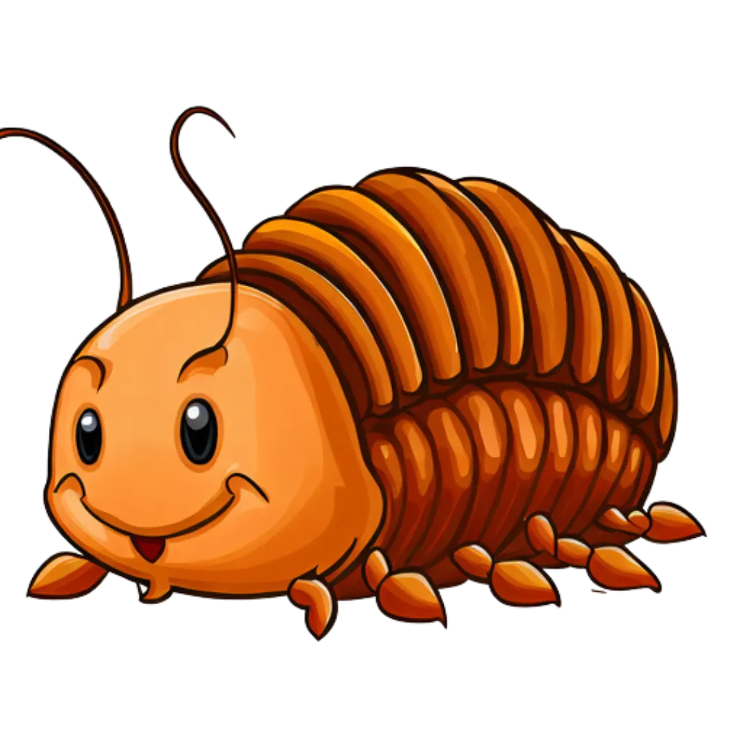 orange cartoon of a victoria sow bug