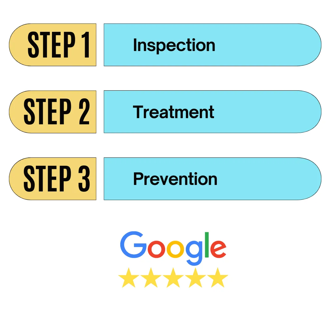 3 Step Infograph for Pest Control Process