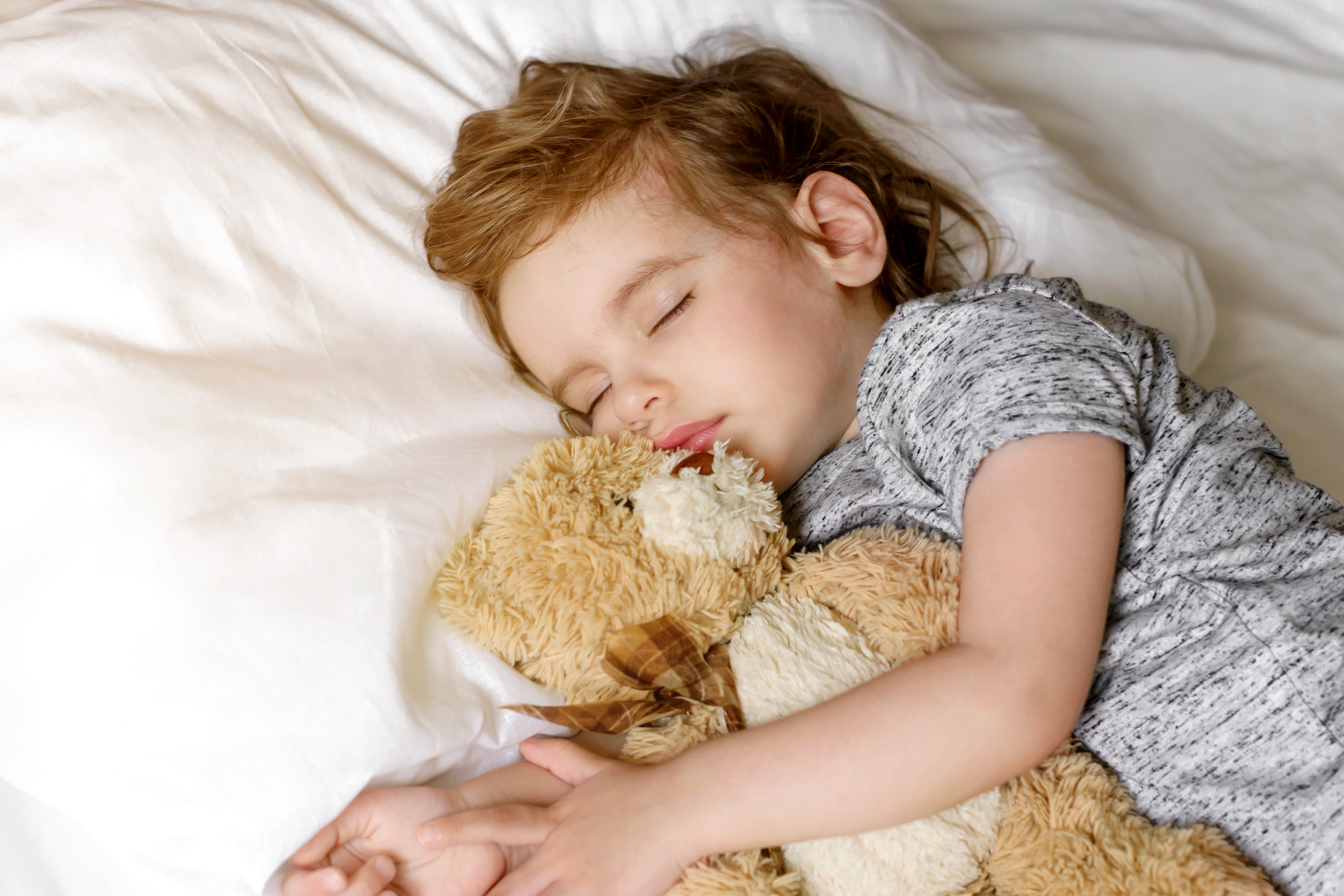 Toddler sleeping with a teddy bear