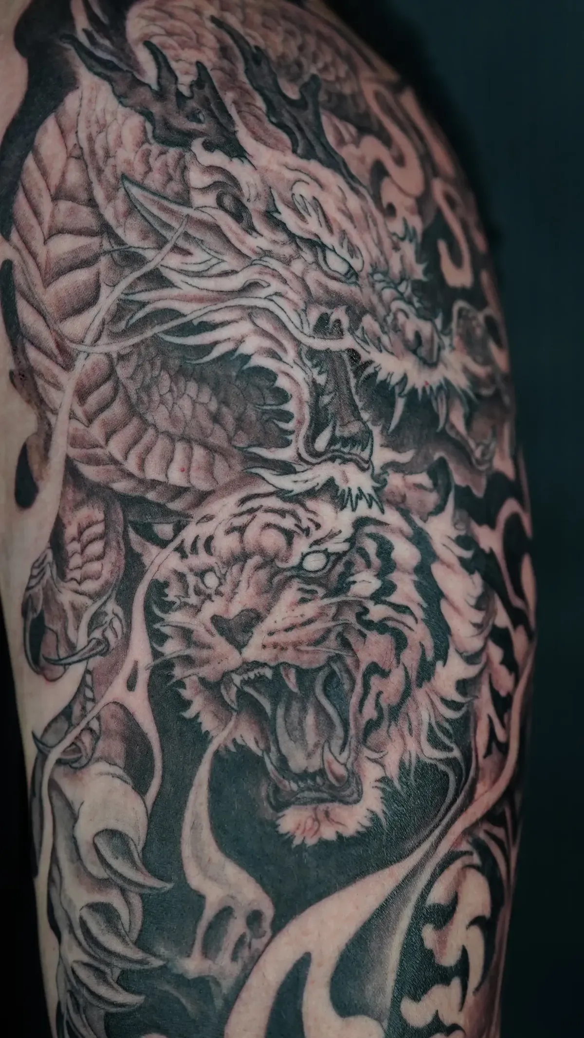 Healed tattoo on skin