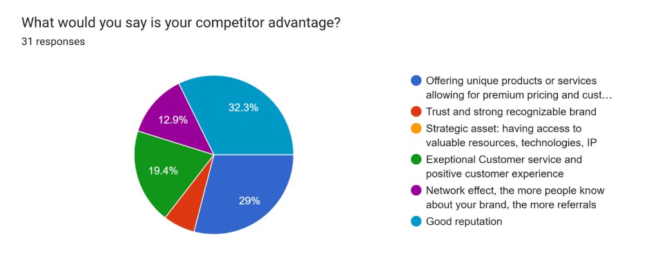 Pie chart showing small business hat took part in the survey: competitor advantage