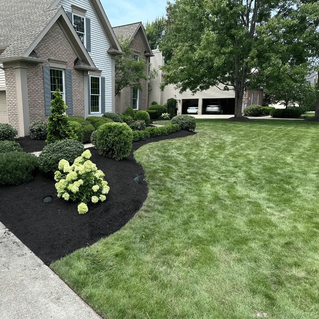 handyman Adkins TX, handyman San Antonio TX, interior painting Adkins TX, pressure washing San Antonio TX, fence repair Adkins TX, lawn care San Antonio TX, window cleaning Adkins TX