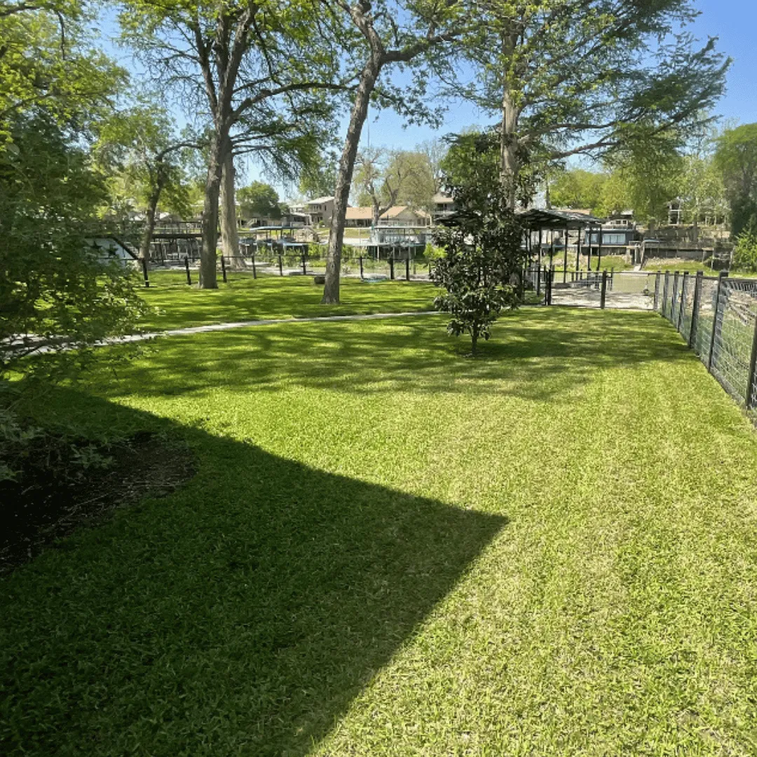 lawn care Adkins TX, lawn service San Antonio TX, yard maintenance Adkins TX, mowing service San Antonio TX, lawn mowing near Adkins TX, yard cleanup San Antonio TX, local lawn care company TX