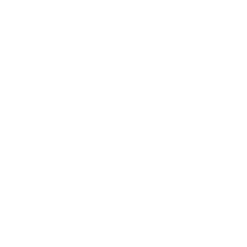Custom Installation Logo