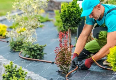 a man in a light blue uniform repairing an irrigation system or a garden with a lot of various shrubs and trees around him