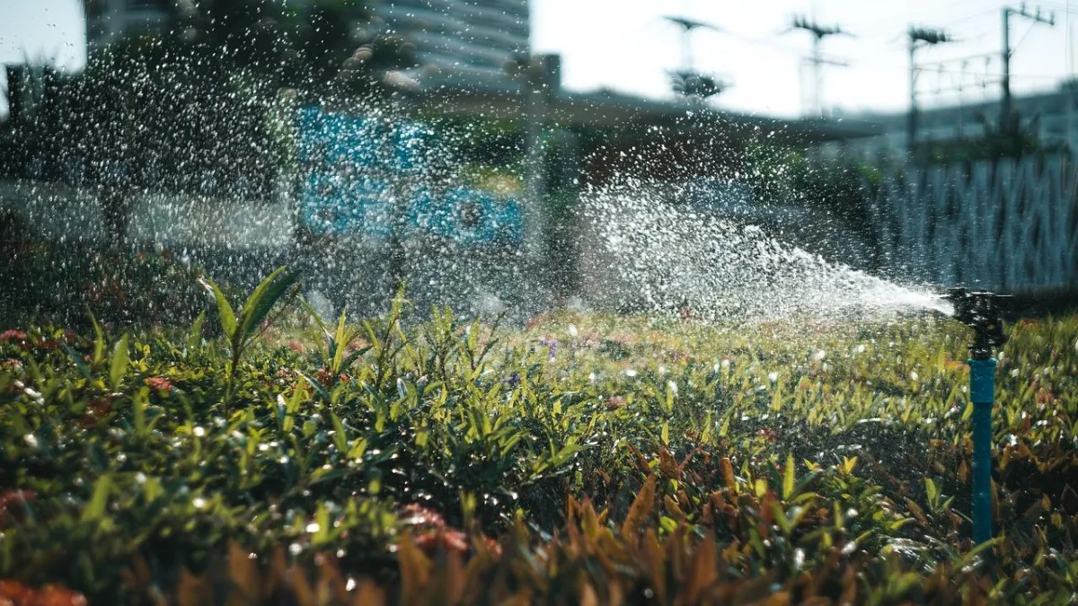 A lush green lawn being watered by irrigation sprinkler heads