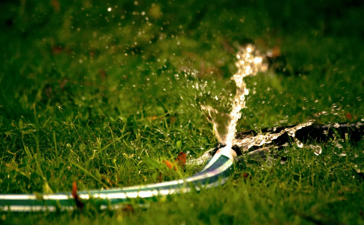 a hose with water coming out of it on top of a luscious green lawn 