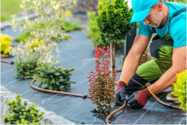 a man in a light blue uniform repairing an irrigation system or a garden with a lot of various shrubs and trees around him