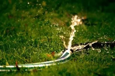 a hose with water coming out of it on top of a luscious green lawn 