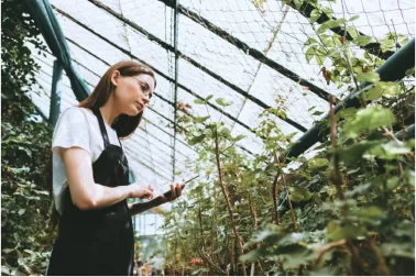 a woman in a black apron examining plants in a greenhouse while holding an ipad