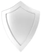 Silver Shield Icon