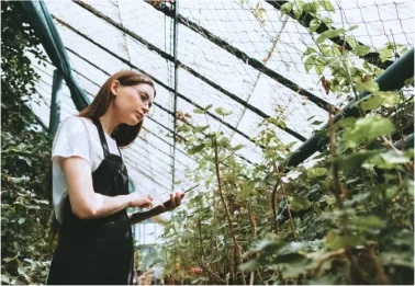 a woman in a black apron examining plants in a greenhouse while holding an ipad