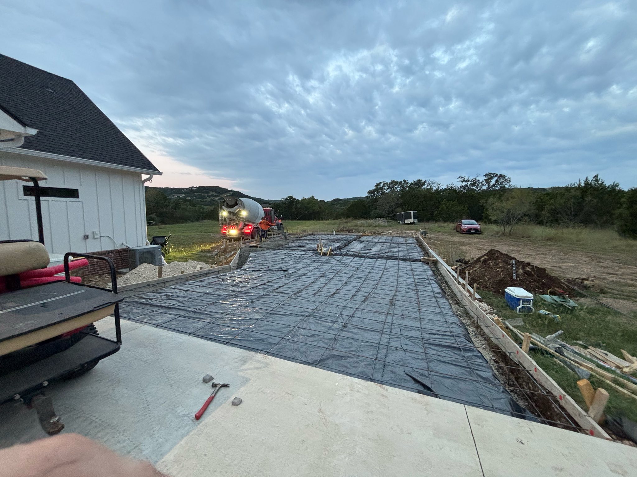 bald eagle flying under forest during daytime