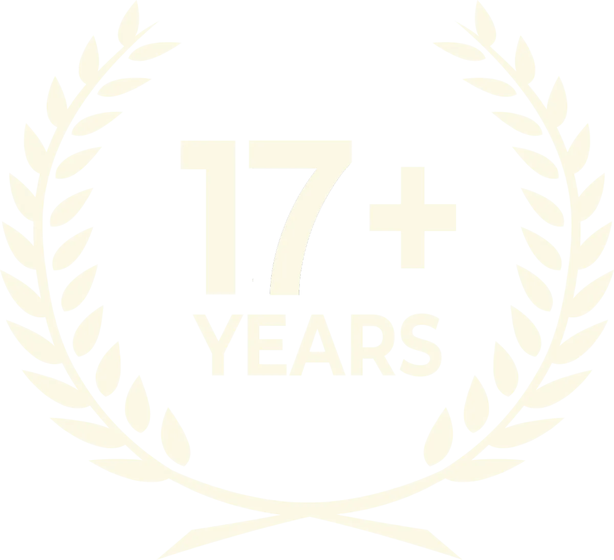 17 years experience