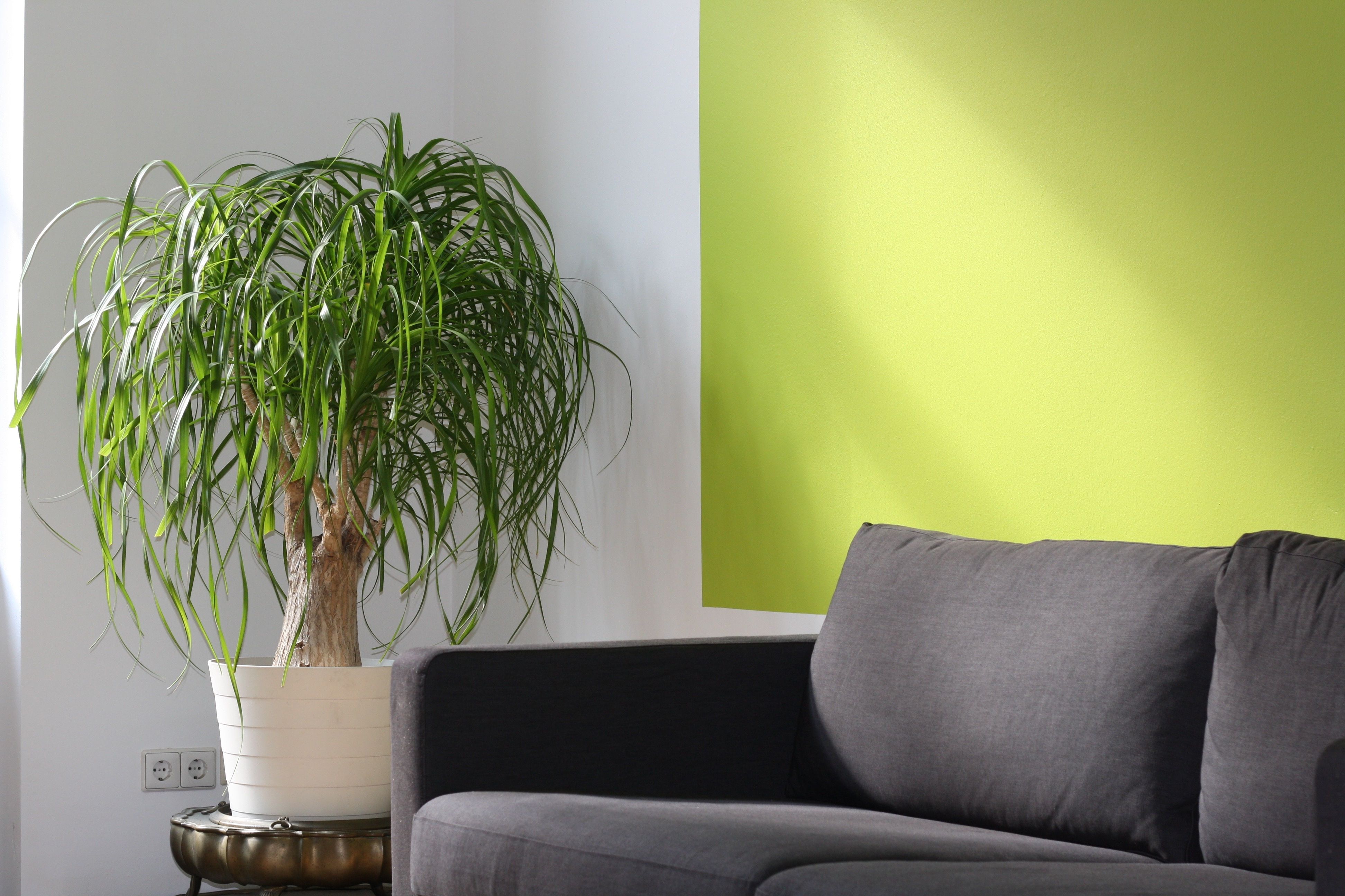 How to Style a Home Entryway