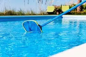 Pool being cleaned by net