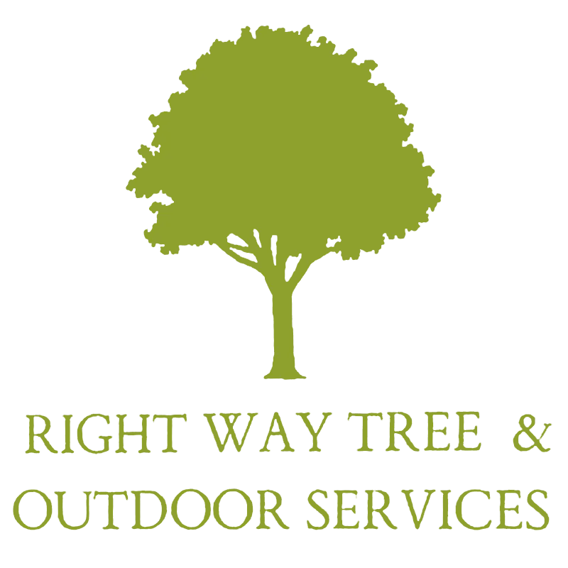 Tree Service in Central Illinois