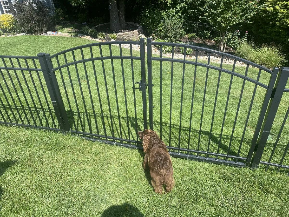 Fence and gate installation