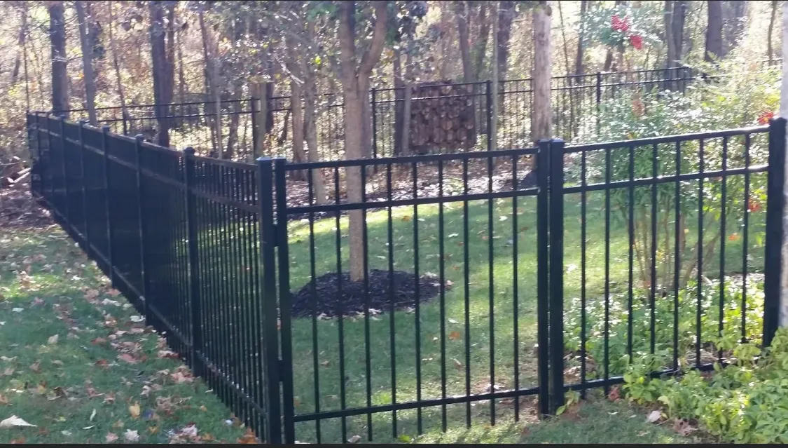 Fence project 4